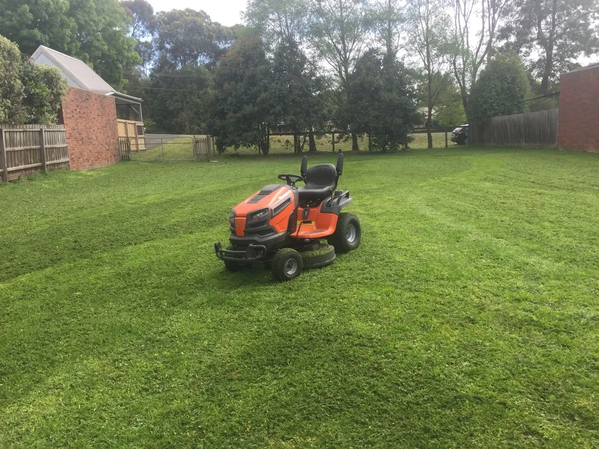 Lawn cleared and freshly mown