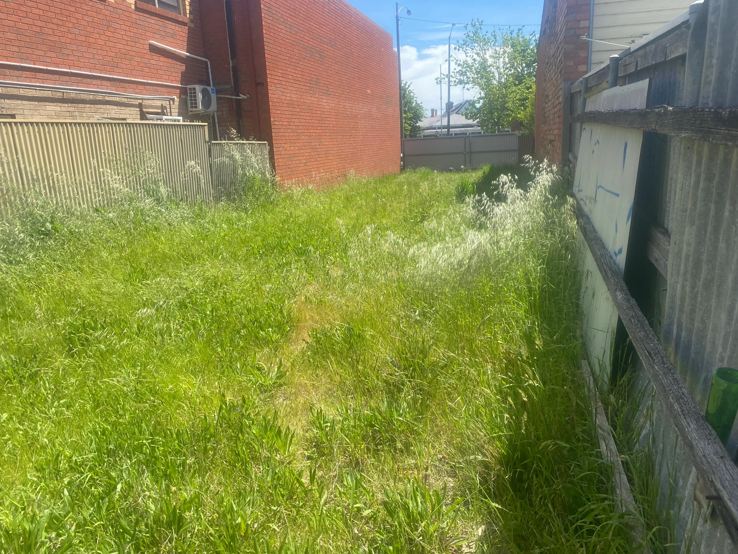Overgrown side passage between buildings
