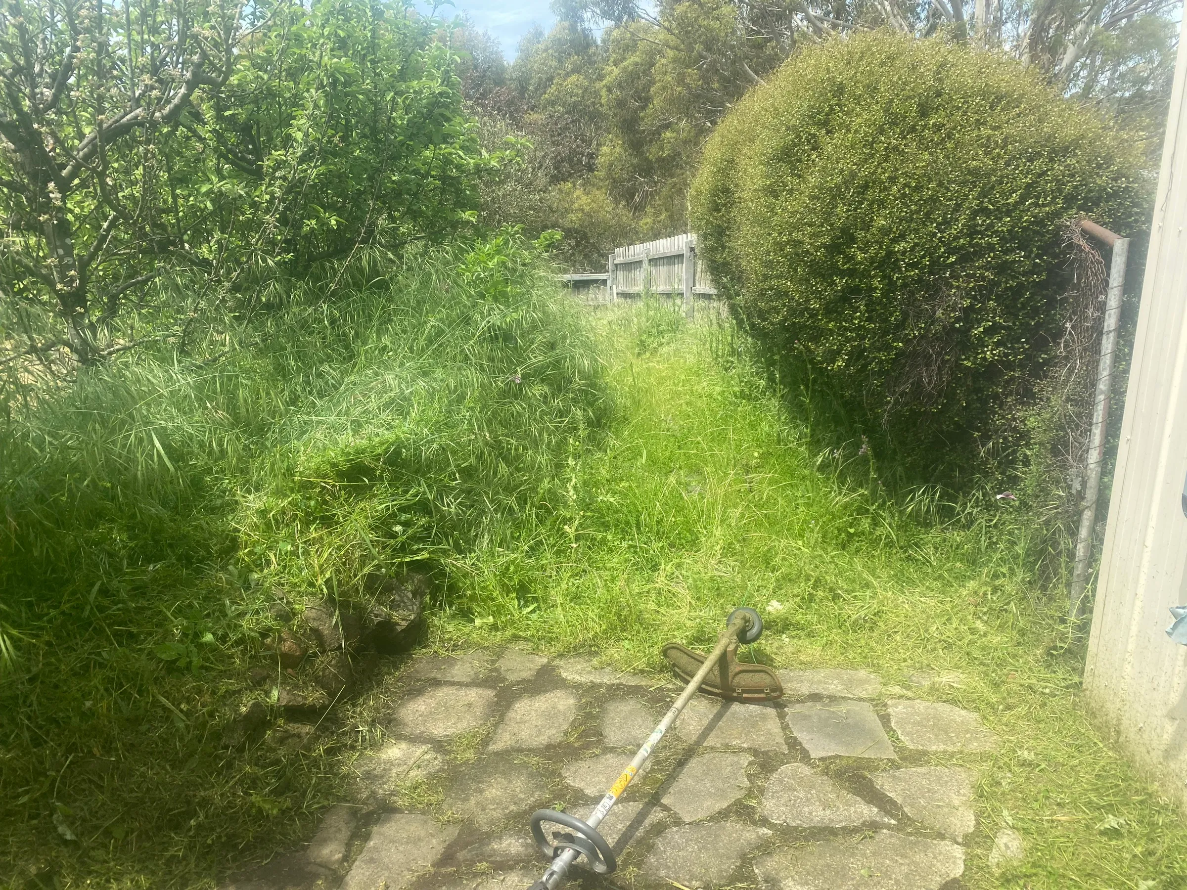 Crazy paving lost in overgrown grass