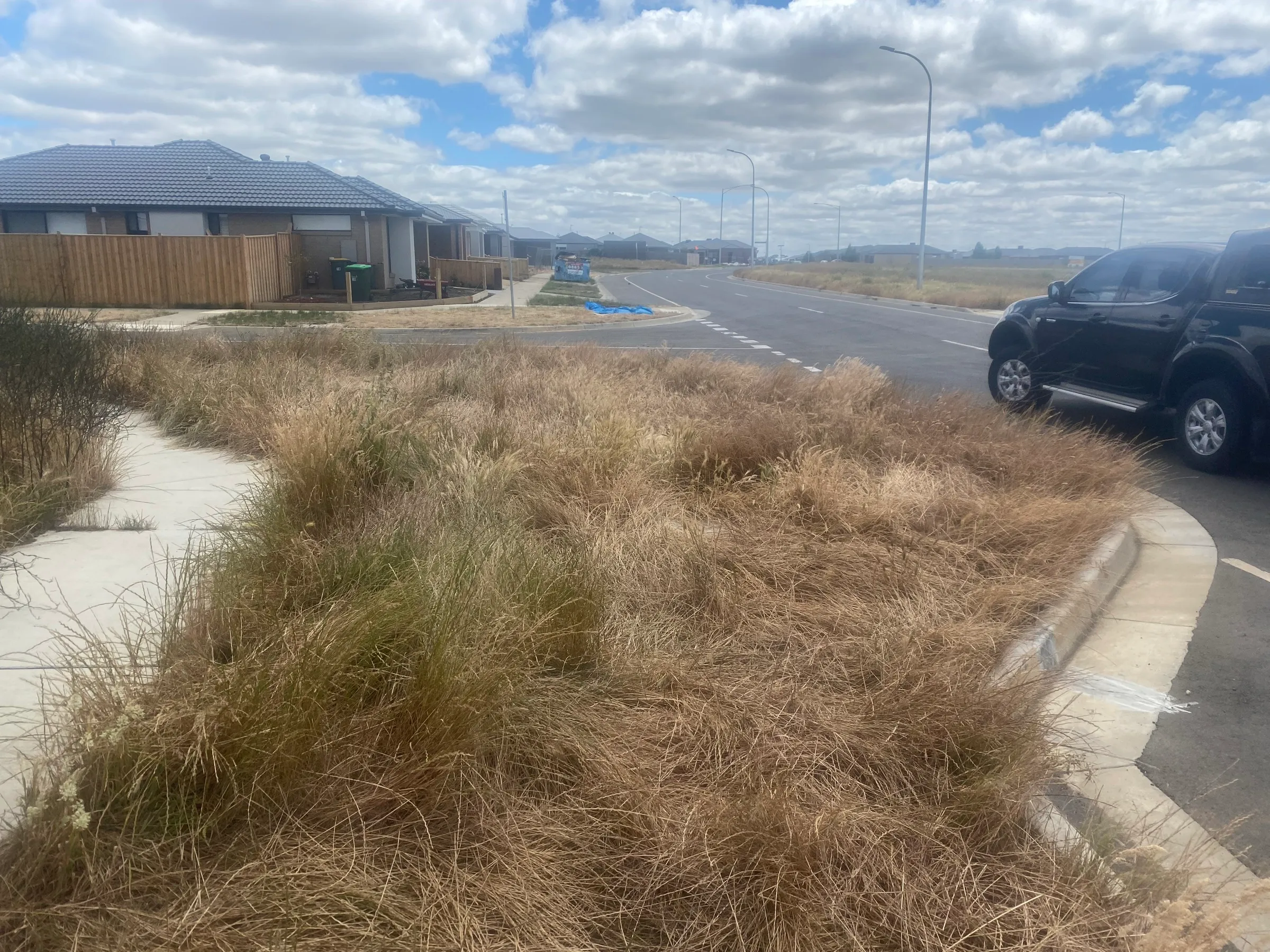Dry knee-high grass in front of a display home